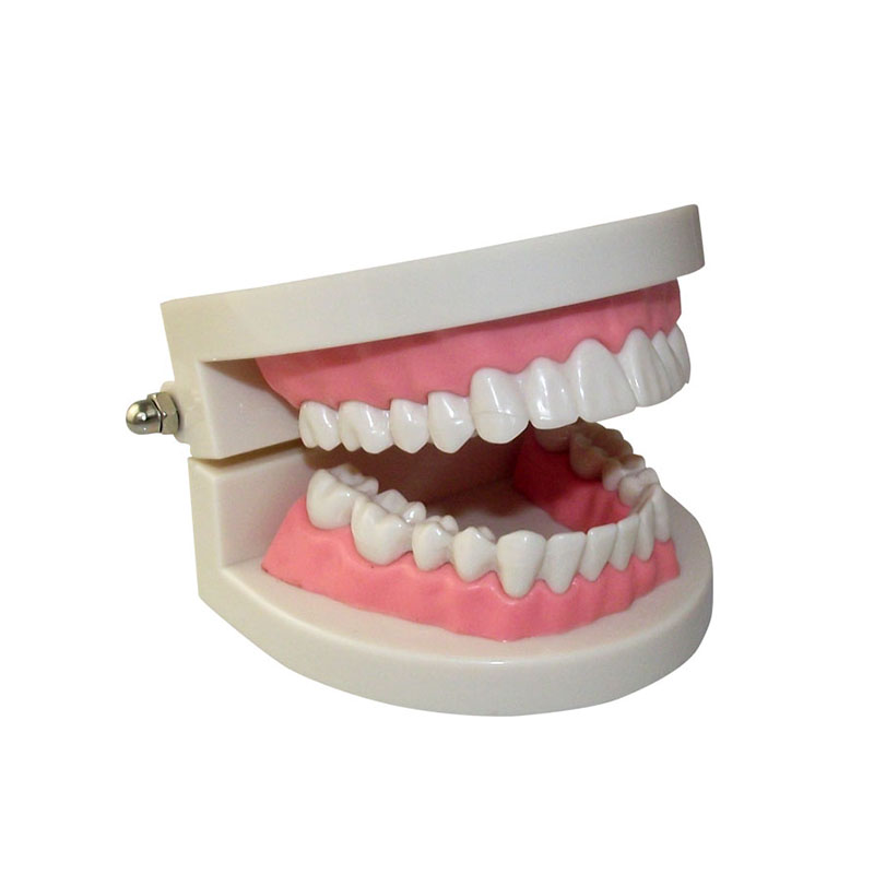 dental surgery microscope  03