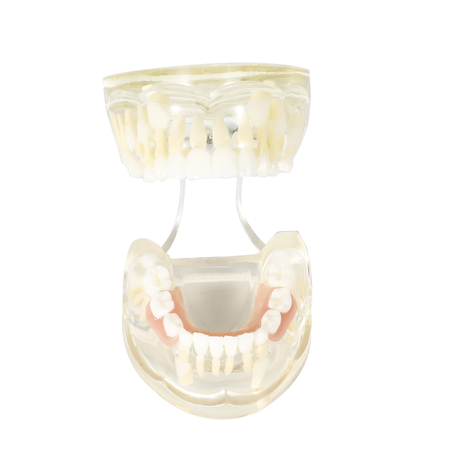 dental surgery microscope  03