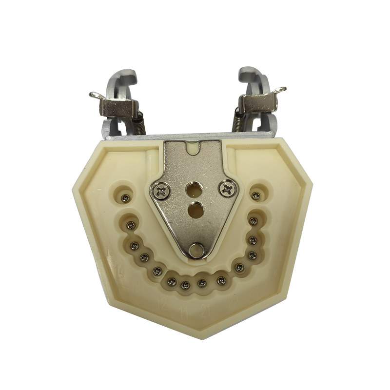 dental surgery microscope  03