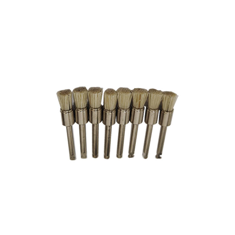 Dental Prophy Brush