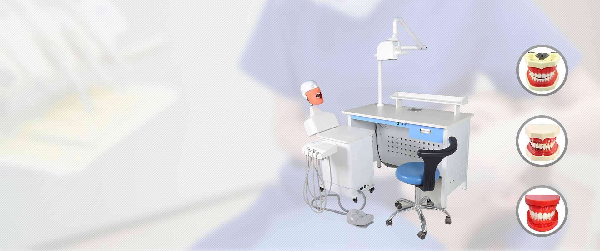 Professional R & D and Production of Dental Simulator