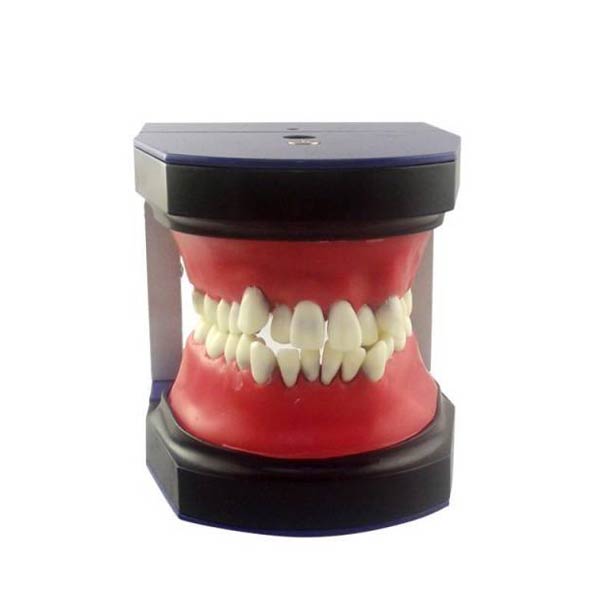 Orthodontics - Tangshan UMG Medical Instrument Co.,Ltd.