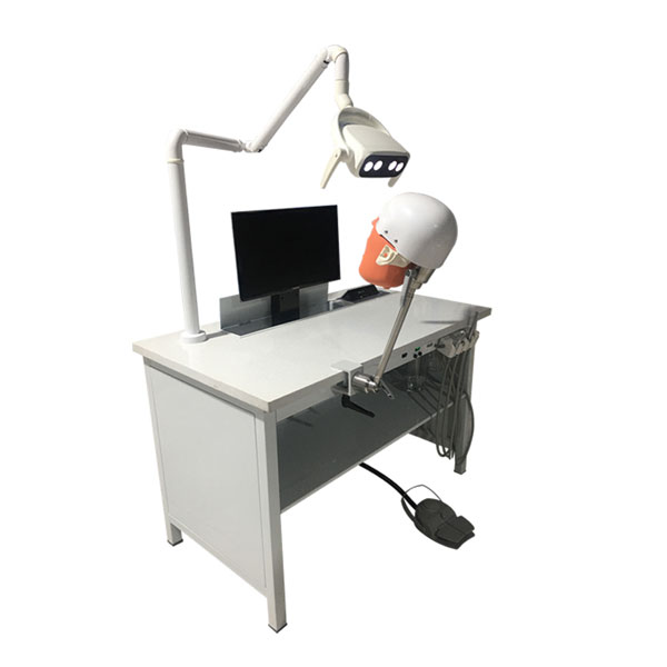 UMG-IV Adjustable Phantom Head Dental Simulation Practice System