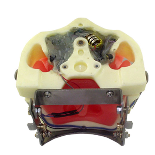 UM-L2 Model For Oral Anesthesia And Tooth Extraction