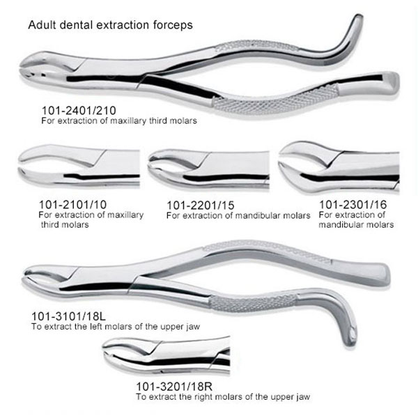 Forceps for Adult