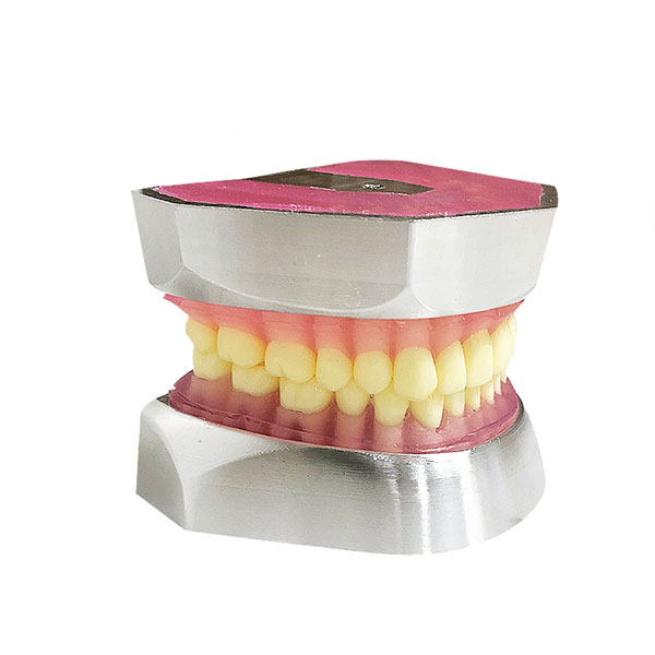 Metal Tooth Extraction Model