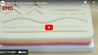 UMG Dentist Tooth Extraction Suture Module