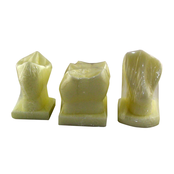 Um-u15 3 Times Guiding Model of Tooth Carving