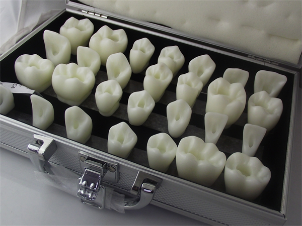 Um-u6 Three Times Carving Teeth Steps Guidance Model(a Set of 5 Teeth Position)