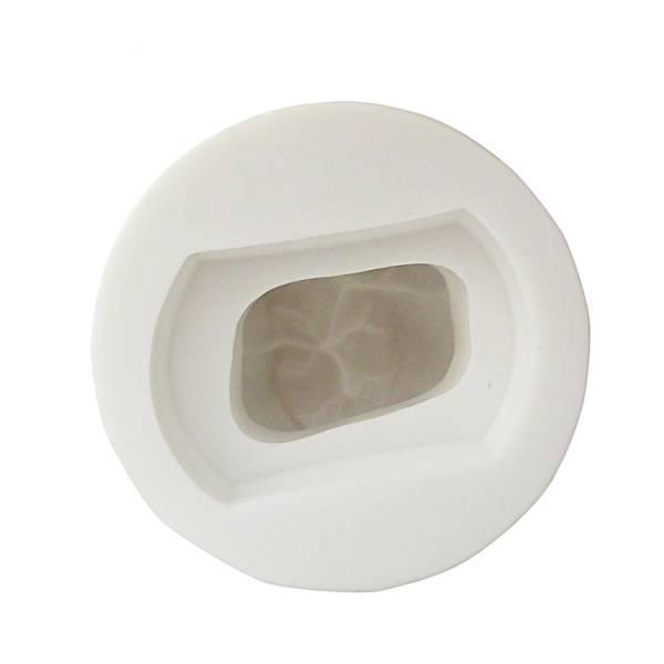 The Details of Um-s20b 6 Times Natural Size Tooth Mould B