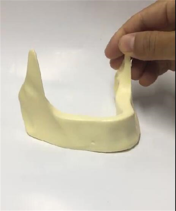 Um-z8 Anatomically Shaped Bone Mandible for Implant Placement Practice
