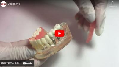 UM-Z11 Educational Model for Implant Denture