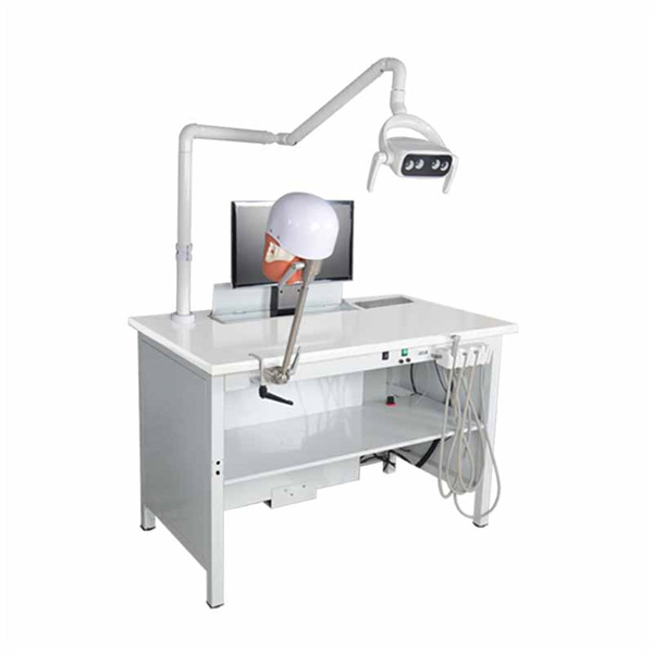 dental simulator