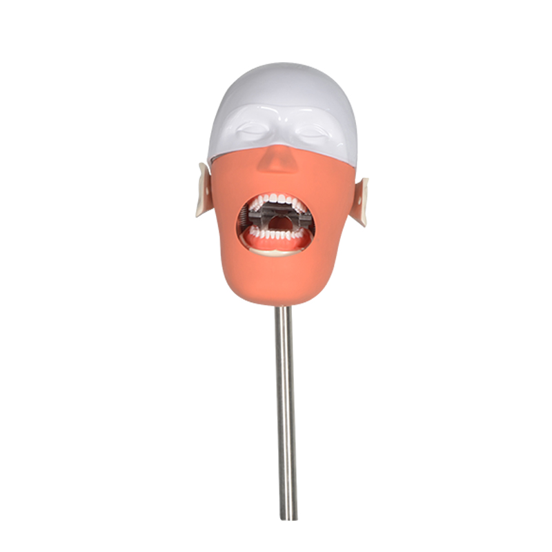 UMG-IX 2 Student Positions Dental Simulation Practice System