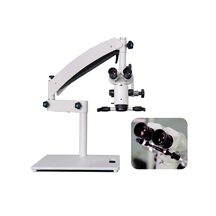 training microscope  tme 04