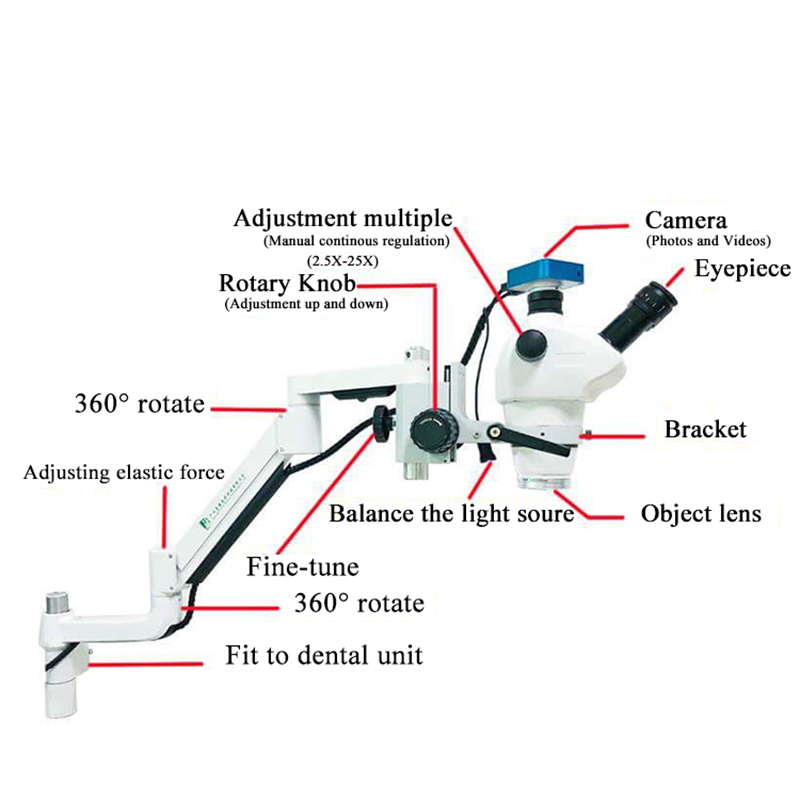 Structure_of_Dental_Microscope.jpg