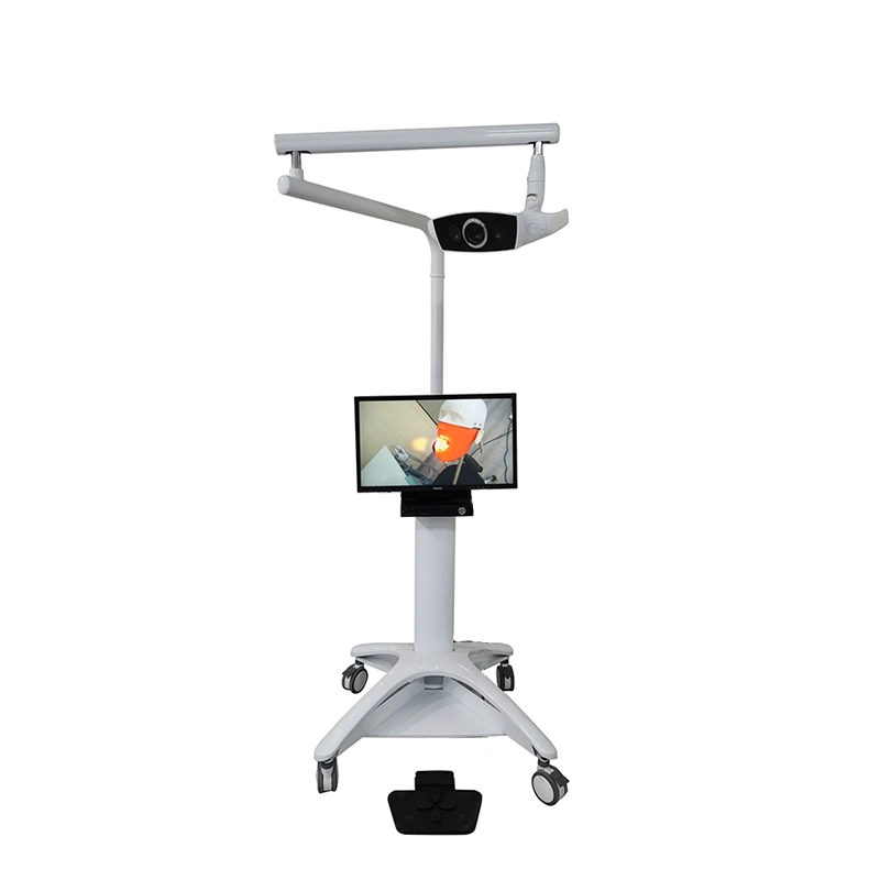 Stamotology Teaching System